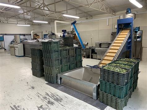 Family Olive Oil Mill