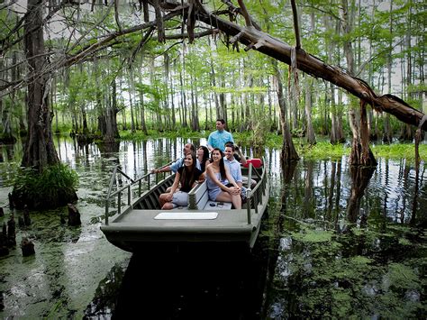 Family Swamp Tour