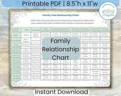 Family Tree Relationship Chart