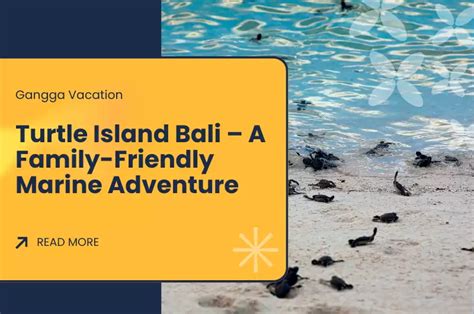 Family Turtle Island