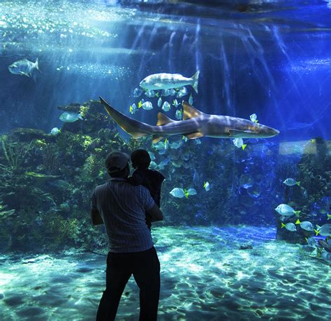 Family at Acuario Inbursa
