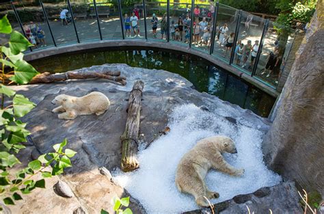 Family at Prague Zoo