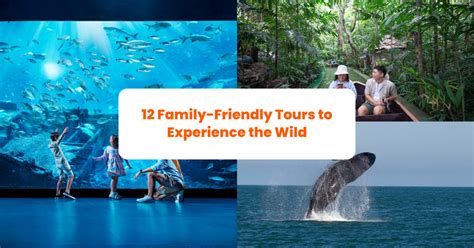 Family-Friendly Tours