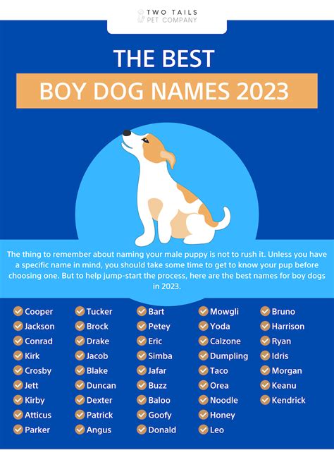 Famous Boy Dog Names
