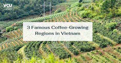 Famous Coffee Regions