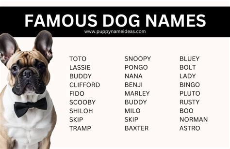 Famous Dog Names