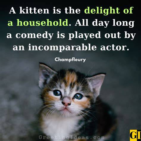 Famous Kitten Quotes