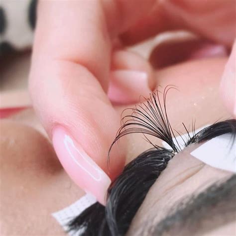 Fan Lash Extensions