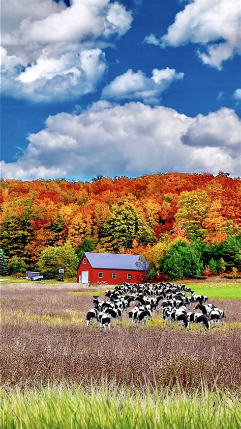 Farm Background Image