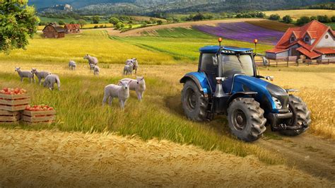 Gestore Azienda Agricola