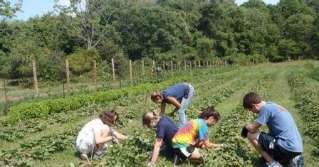 Farm Volunteer Jobs