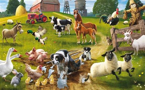 Farm animals