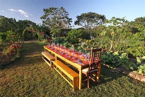 Farm to Table Dinner