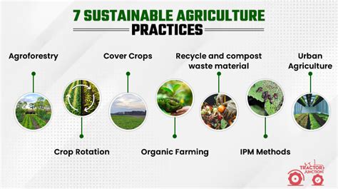 Farmers using sustainable farming practices