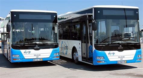 Faro Airport Bus: Your Guide to City Center Transfers