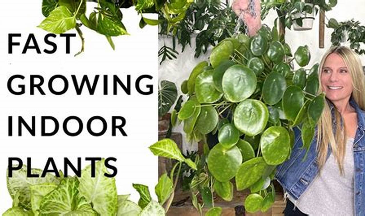 Fast Growing House Plants