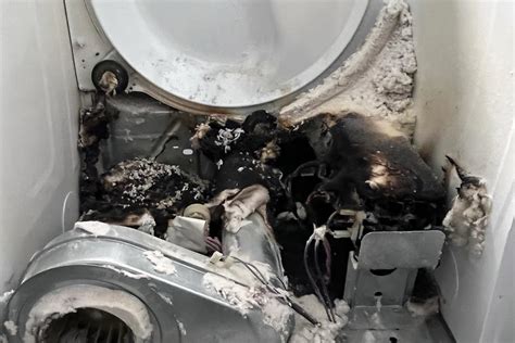 Fast Dryer Repair St Louis