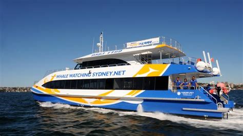 Fast ferry operator reviews