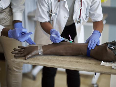 Fast-Track Your Phlebotomy Job Search: A Comprehensive Guide for Novices