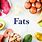 Fat Content of Foods