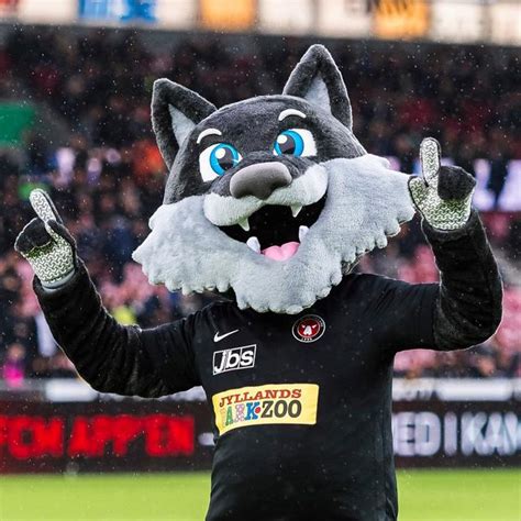 Fc Midtjylland Lupus