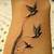 Feather With Birds Tattoo