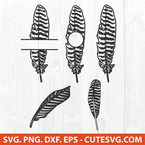 Download Feather Bundle Cricut SVG DXF Files