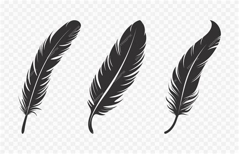 Download Feather Bundle Silhouette