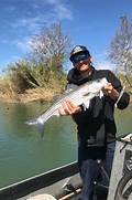 Feather River Fishing Report