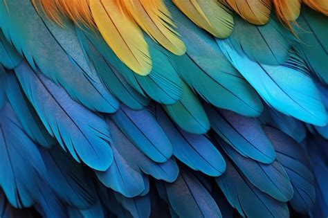 Feather and Wing Details