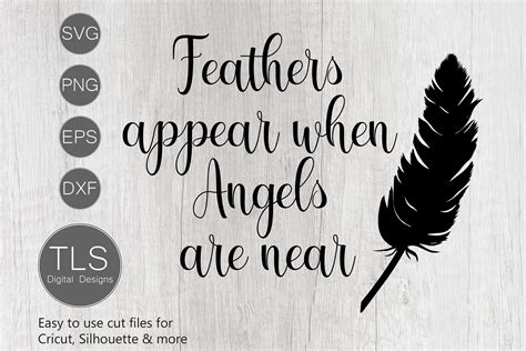 Download Feathers Appear when Angels Are Near SVG File - SVG Design Files