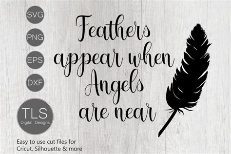 Download Feathers Appear when Angels Are Near SVG File - SVG Design Silhouette