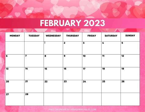 Collection of February 2023 photo calendars with image filters.