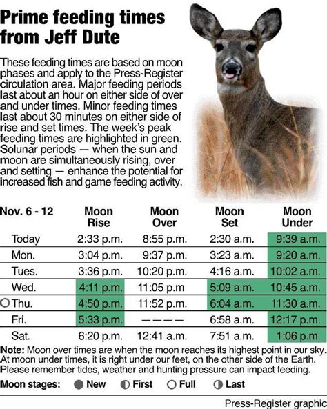 Feeding Chart Deer