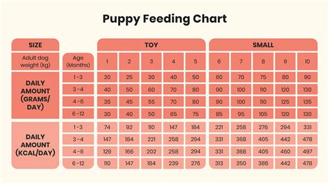 Feeding Chart For A Puppy