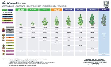 Feeding Chart For Cannabis
