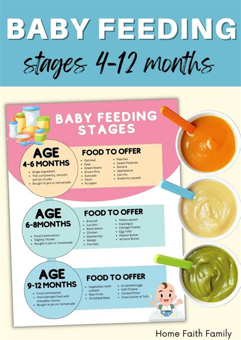 Feeding Guidelines for Different Life Stages