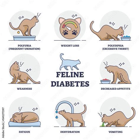 Feline Diabetes Awareness