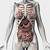 Female Human Body Diagram Of Organs