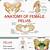 Female Pelvis Anatomy