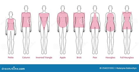 Female Body Types Chart