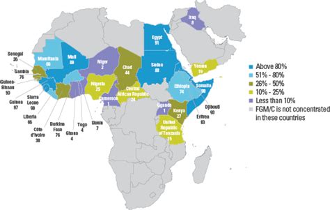 Female Circumcision: Health Risks & Impacts Explained.