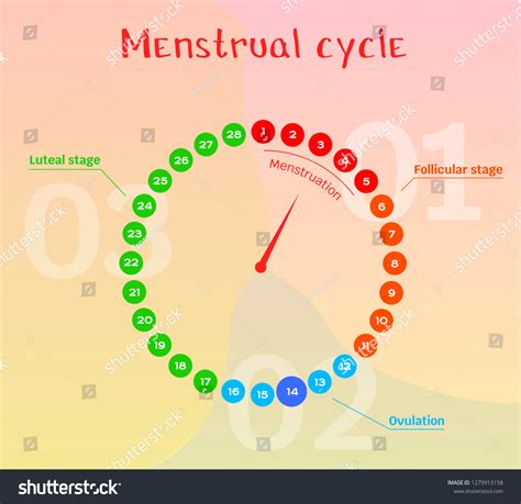 Female Cycle Chart