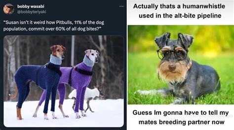 Female Dog Meme