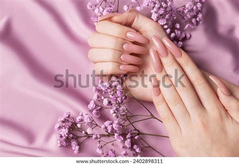 Female Hands Beautiful Manicure Gypsofila