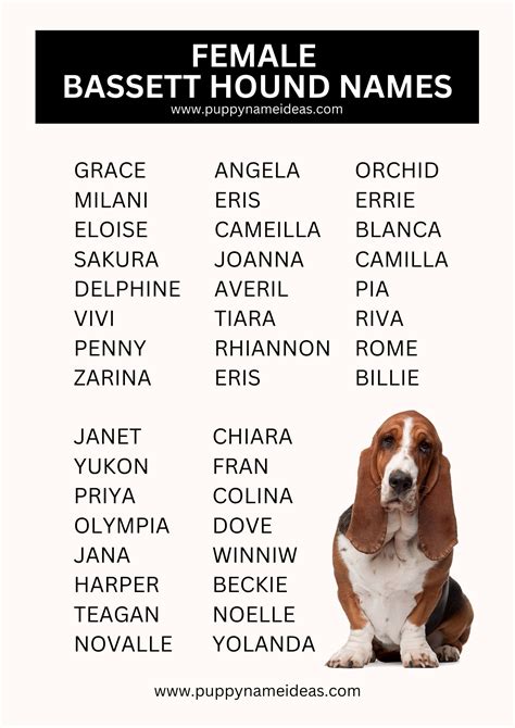 Female Hound Names