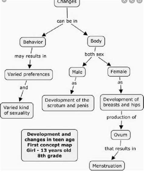 Female Reproductive System Concept Map