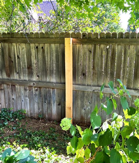 Fence Repair Problems in Denver