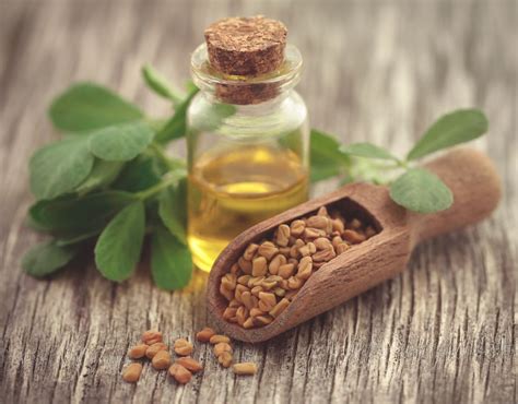 How to Use Fenugreek Oil For Hair: 5 Effective Methods
