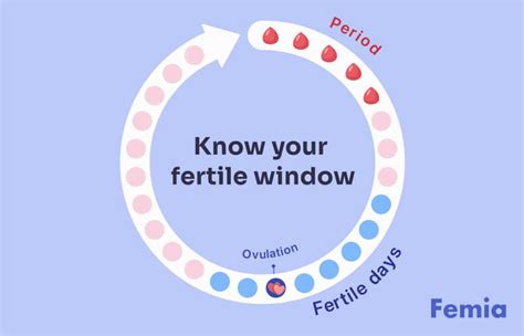 Fertile Period: Signs & How to Recognize It.